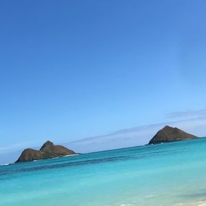 Meet your Posher, Lassie